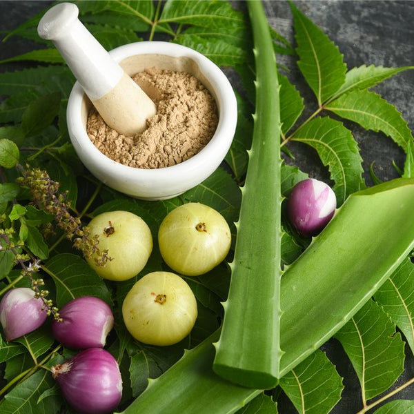 Anti-Dandruff Herbal Blend → Removes flakes & buildup