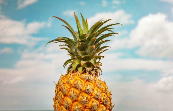 Pineapple → Hydration