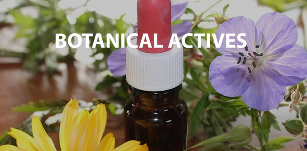 Botanical Actives → Renewal